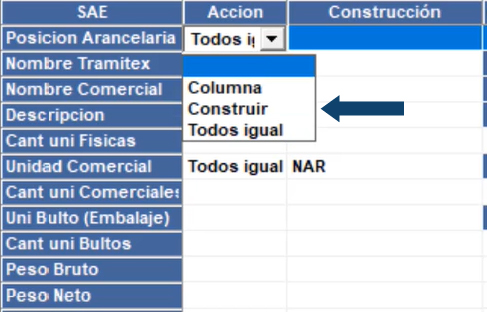 filaaccion_Mesa de trabajo 1